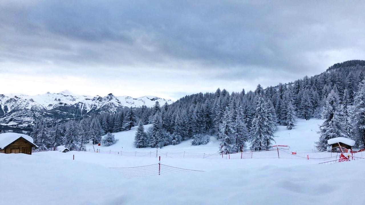 Apartamento Les Chalets Du Parc Aux Etoiles - Cimes Et Neige Puy-Saint-Vincent Exterior foto